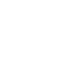 Chiropractic Icon Chiropractic Icon