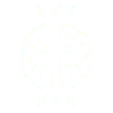 Neurology-Icon
